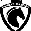 4TH ANNUAL Baltimore Blackhorse Golf Club Charity Golf Tournament