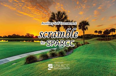 Scramble for SPARCC